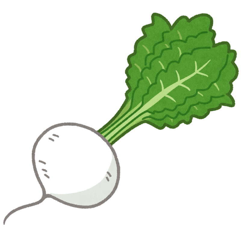 かぶのフリーイラスト素材 - 無料のイラスト素材 タダ絵