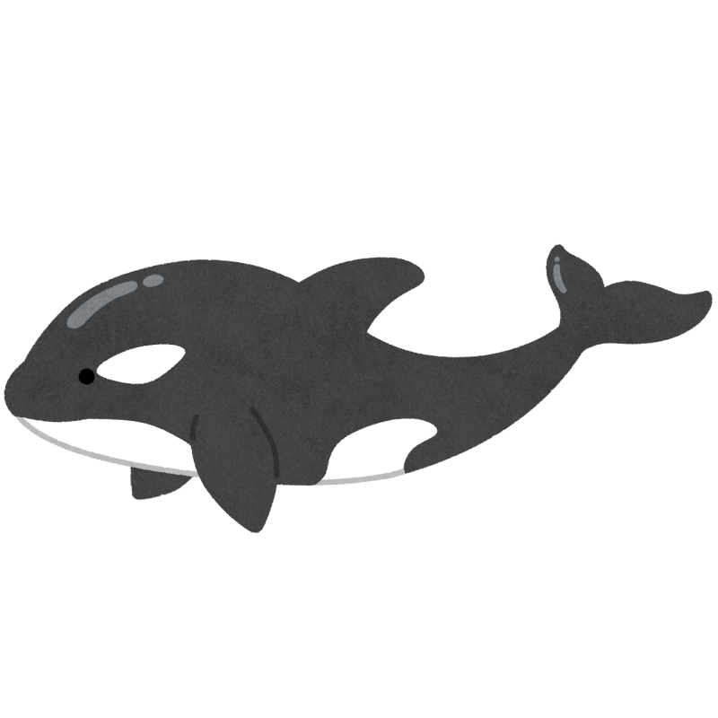シャチのフリーイラスト