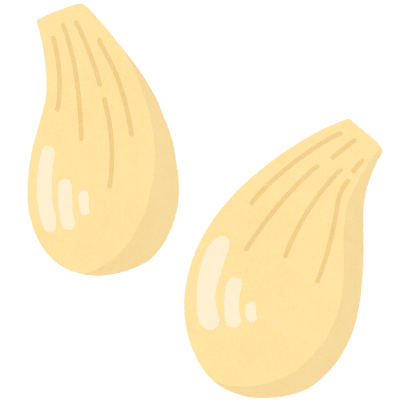 らっきょうのフリーイラスト