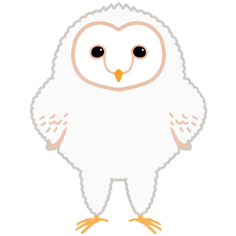 メンフクロウの赤ちゃんのフリーイラスト