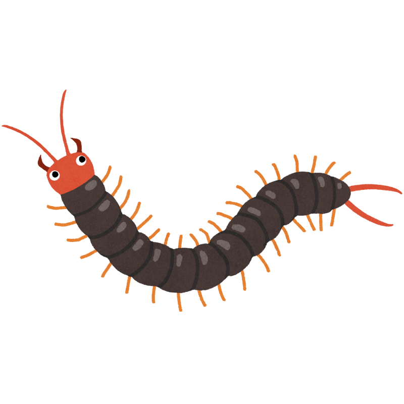 ムカデのフリーイラスト