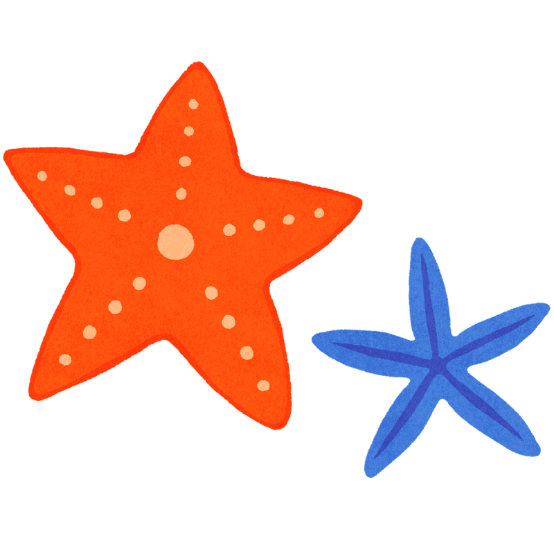 ヒトデのフリーイラスト