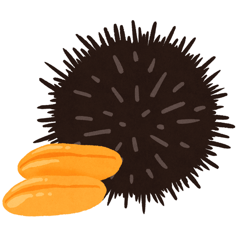 ウニのフリーイラスト