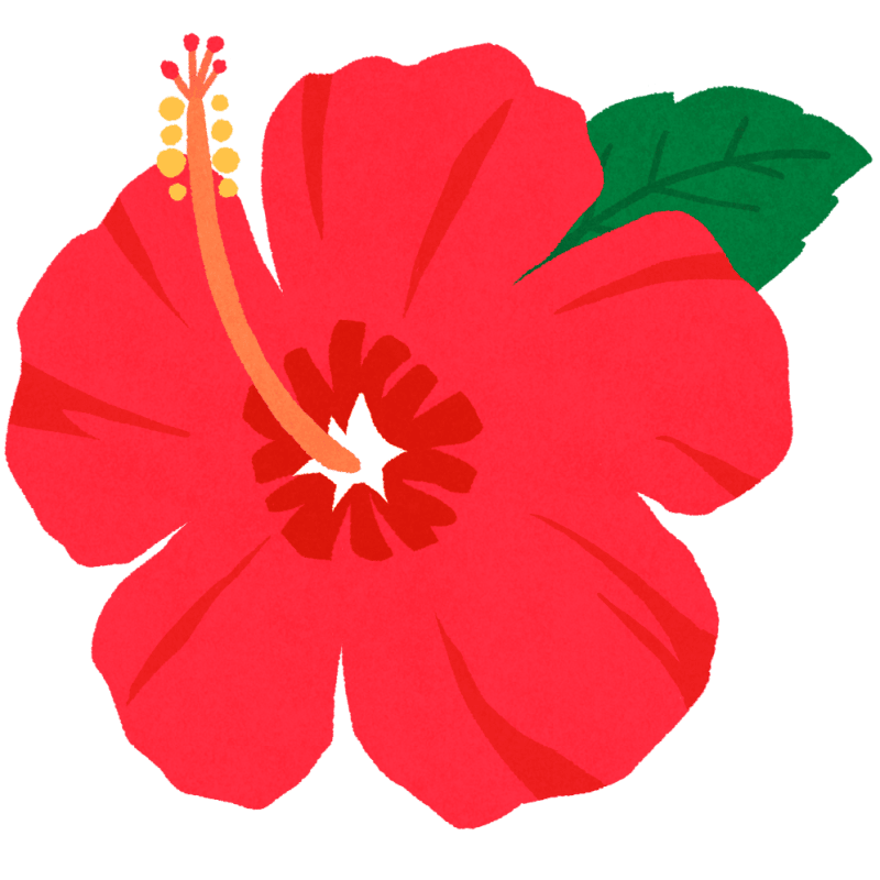 ハイビスカスのフリーイラスト