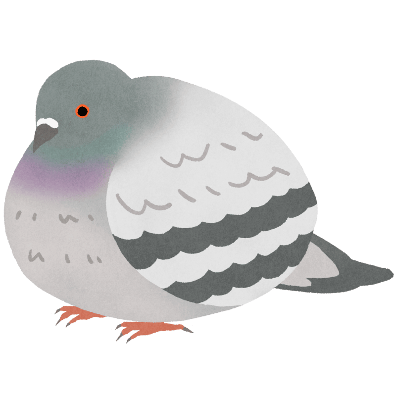 鳩のフリーイラスト