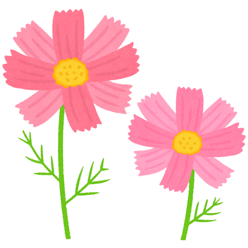 コスモスのフリーイラスト