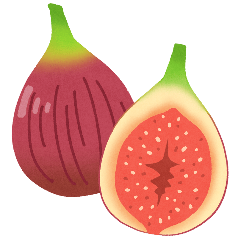 いちじくのフリーイラスト
