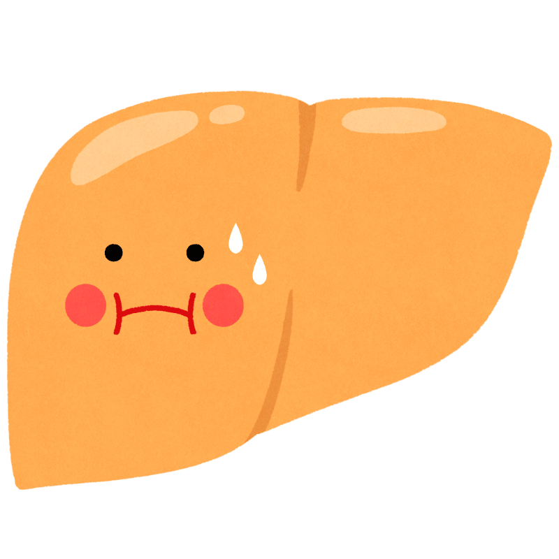 脂肪肝のフリーイラスト