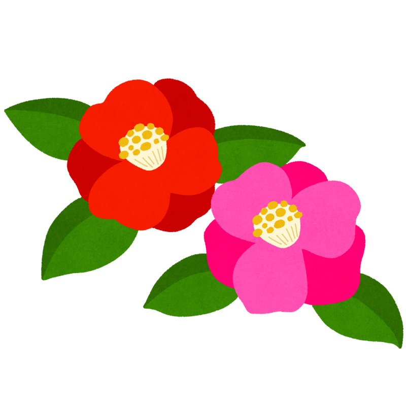 椿のフリーイラスト