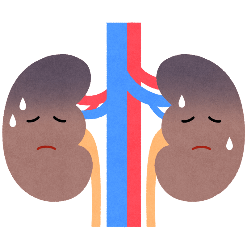 腎臓病のフリーイラスト