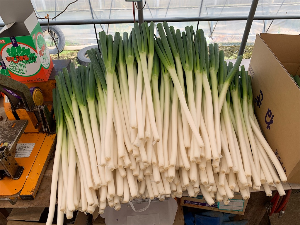 f:id:Nexusfarm:20220916212921j:image f:id:Nexusfarm:20220916212921j:image