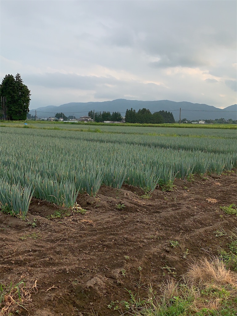 f:id:Nexusfarm:20220916212923j:image f:id:Nexusfarm:20220916212923j:image