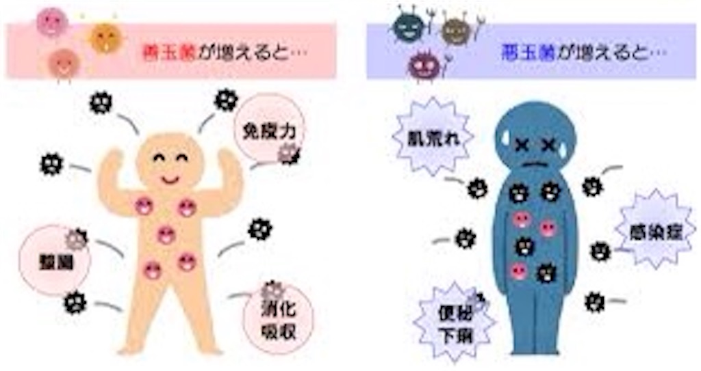 f:id:Nghm:20220108222123j:image f:id:Nghm:20220108222123j:image