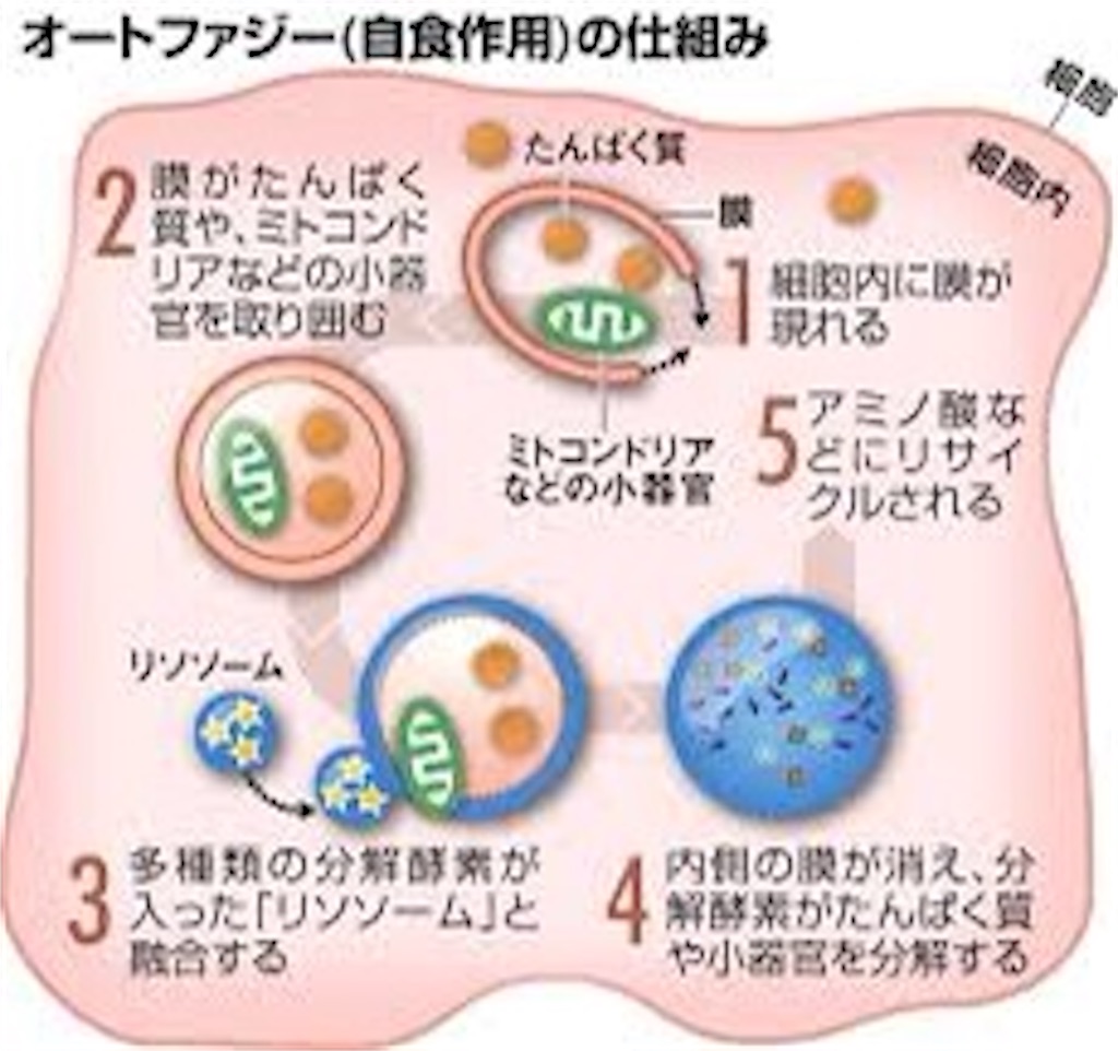 f:id:Nghm:20220113223308j:image f:id:Nghm:20220113223308j:image