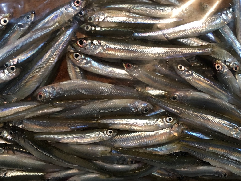 f:id:NiceFish:20180103215518j:image