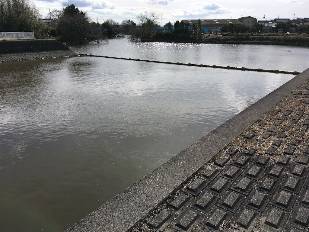 f:id:NiceFish:20180203183738j:image f:id:NiceFish:20180203183738j:image