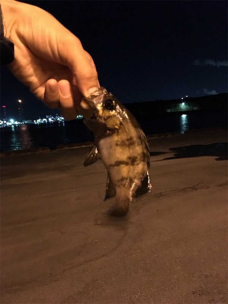 f:id:NiceFish:20180620210725j:image