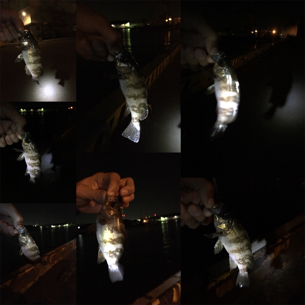 f:id:NiceFish:20180620211000j:image