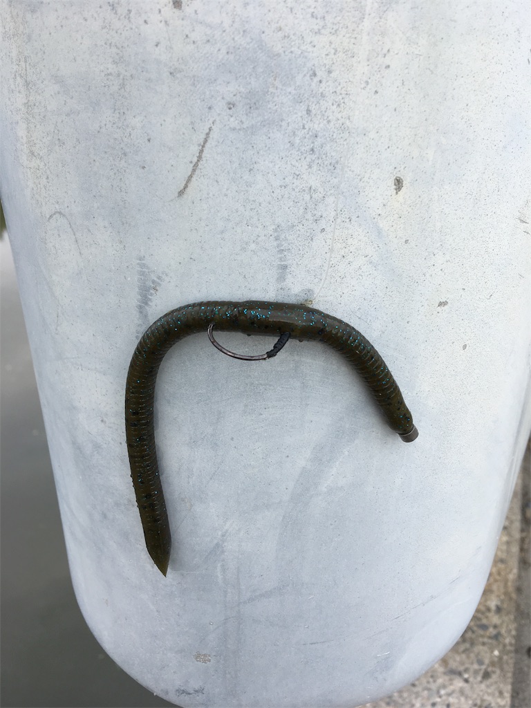 f:id:NiceFish:20180727120217j:image f:id:NiceFish:20180727120217j:image