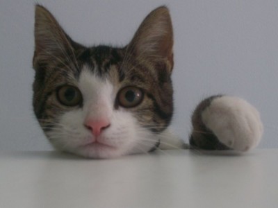 f:id:NickQ:20110629003657j:image