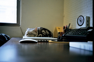 f:id:NickQ:20110702014214j:image