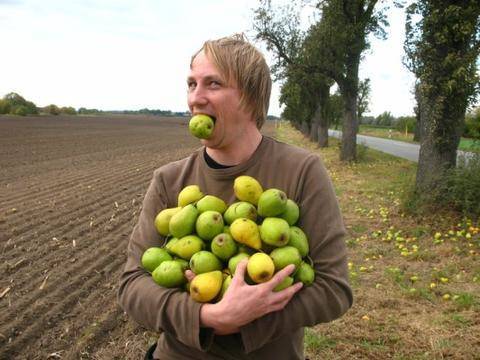 gleaning-480x360