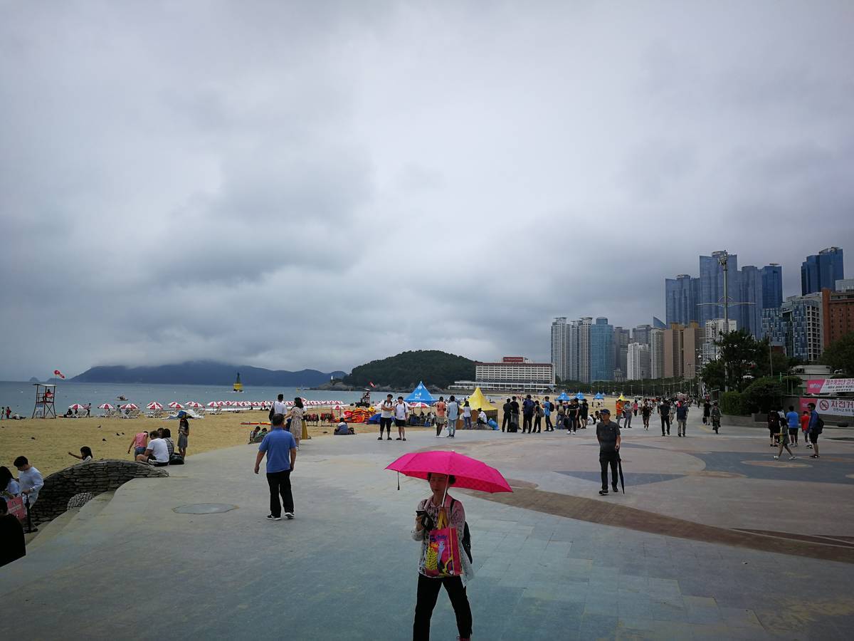 f:id:Nick_Burns:20190730100155j:plain f:id:Nick_Burns:20190730100155j:plain
