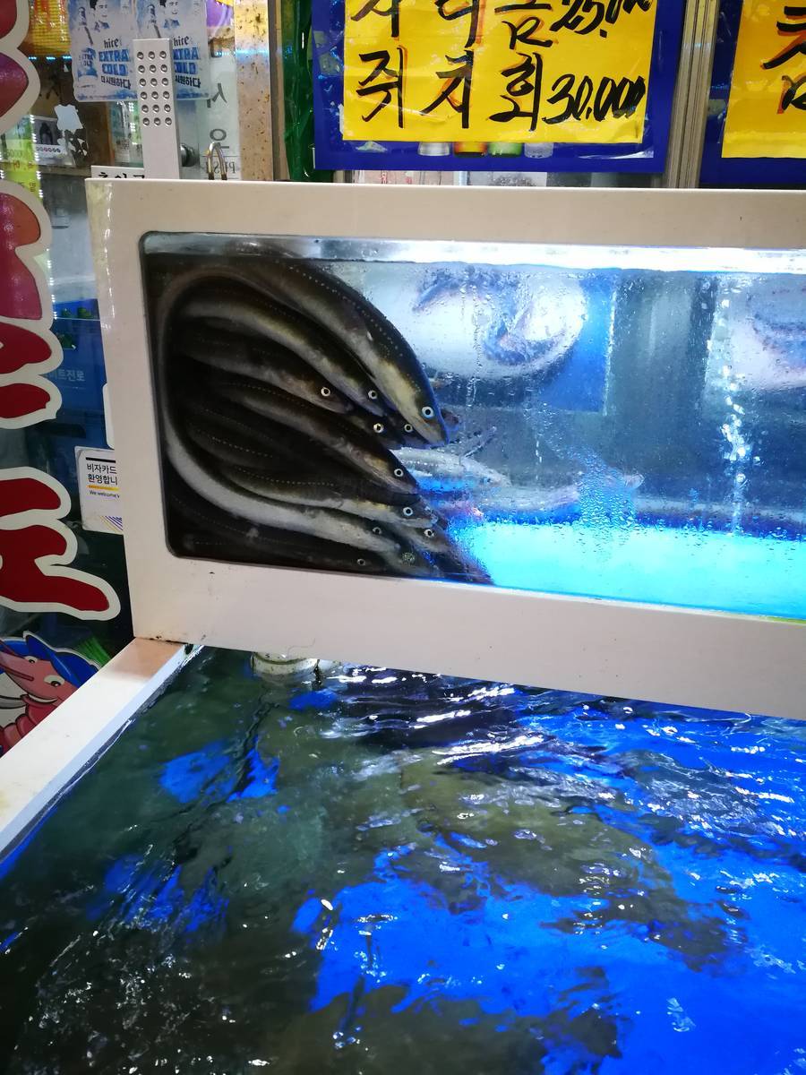 f:id:Nick_Burns:20190730101035j:plain f:id:Nick_Burns:20190730101035j:plain