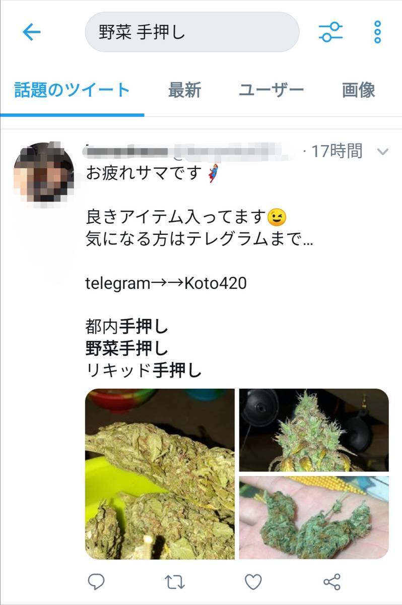 害は 依存性がやばい 大麻初心者が大麻を使ったときな症状などについて書きます ニホンtoセカイ