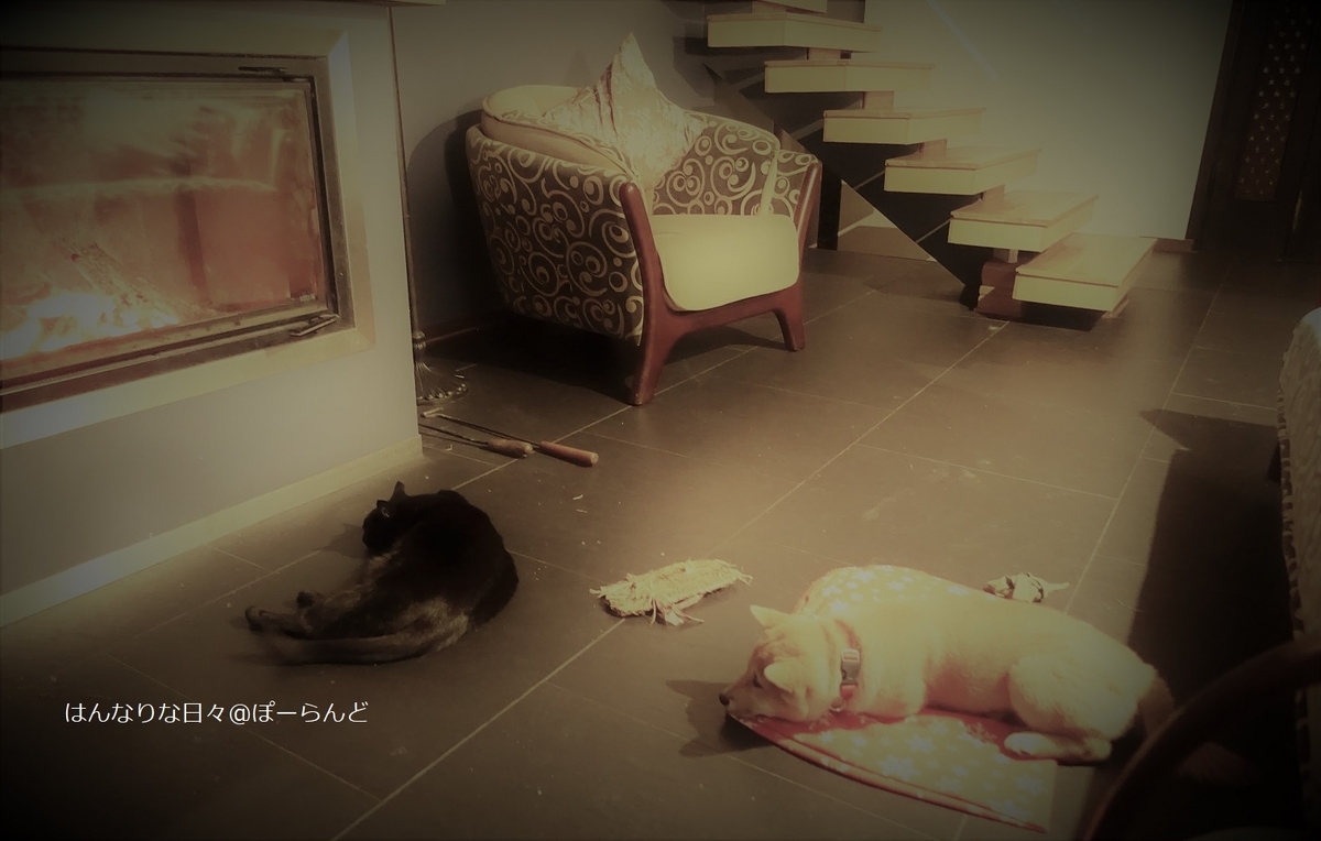 f:id:Nietoperek:20211124011225j:plain