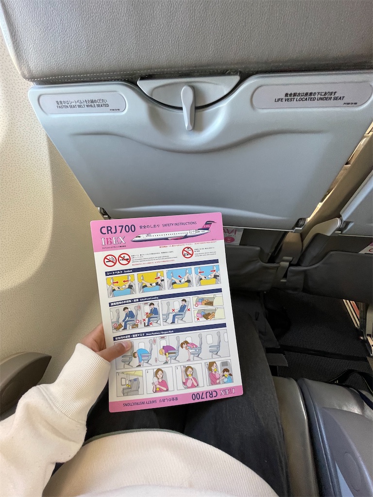 f:id:Niiairlines:20230222231607j:image f:id:Niiairlines:20230222231607j:image