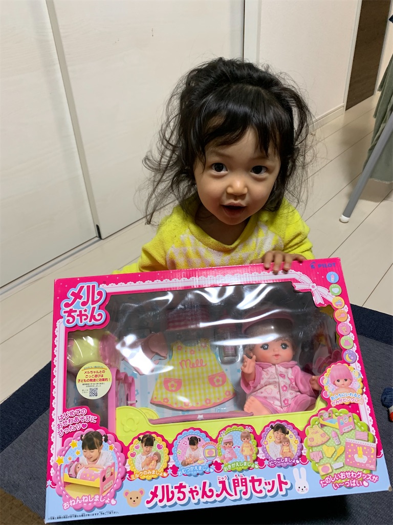 f:id:Nijinopapa:20210110231956j:image