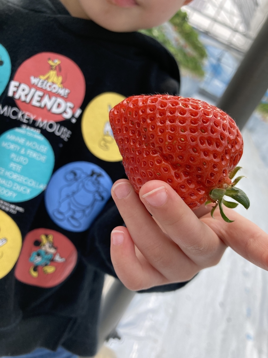 f:id:Nijinopapa:20210326150527j:plain