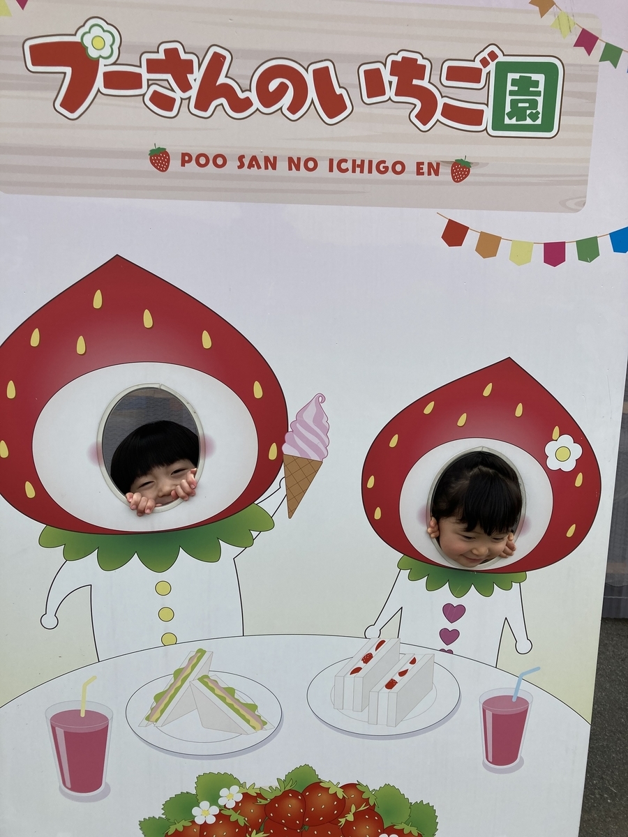 f:id:Nijinopapa:20210326150610j:plain