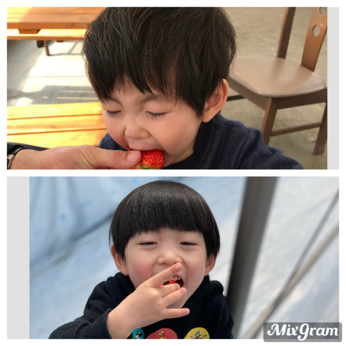 f:id:Nijinopapa:20210326150831p:plain