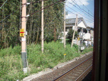 トロッコ嵐山付近