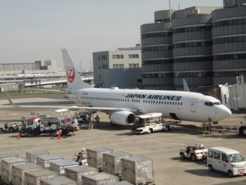 JAL B737-800