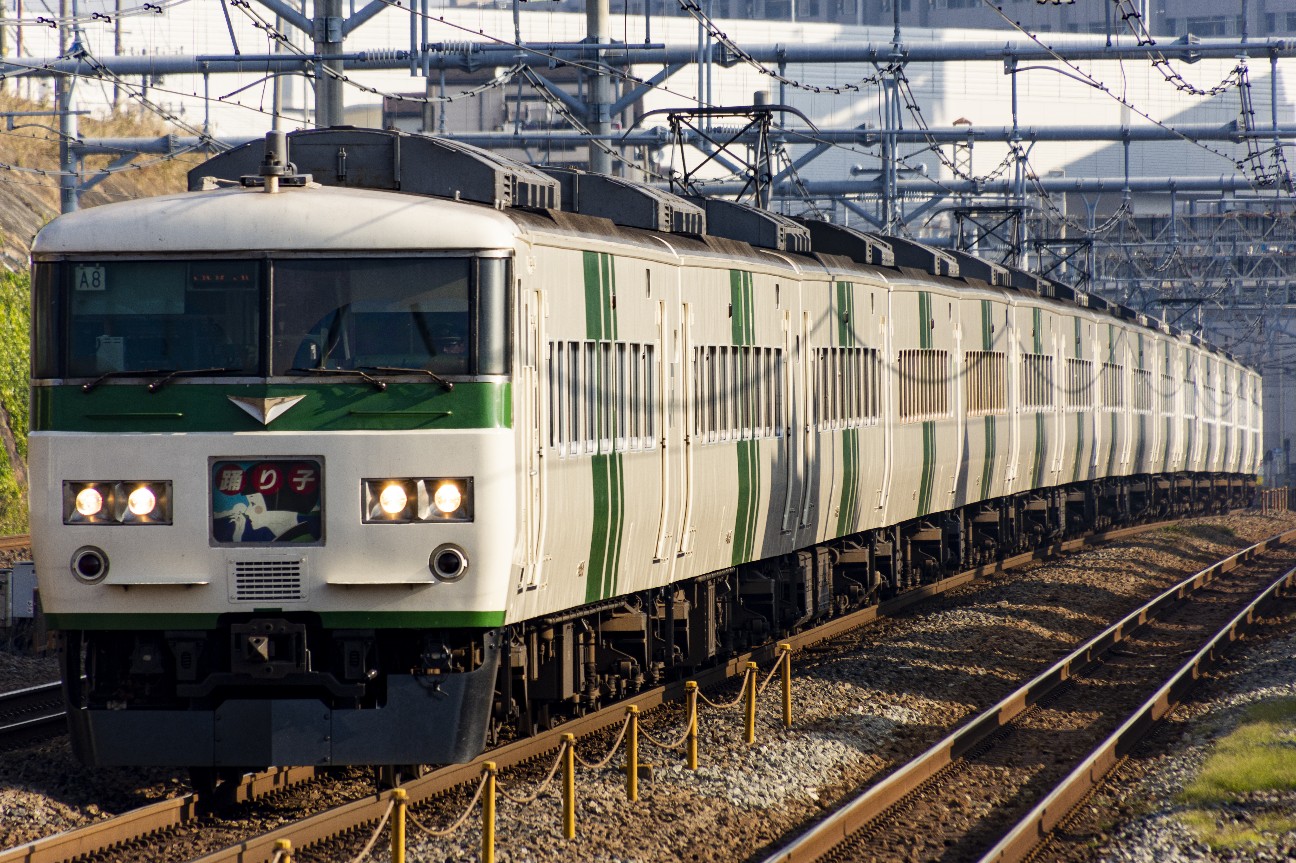 185系踊り子 新子安 カメラと鉄道