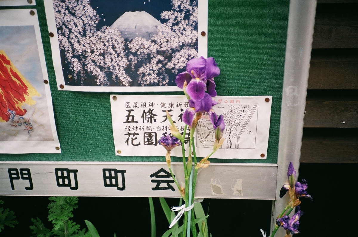 f:id:Nikon_alice:20210522011246j:plain