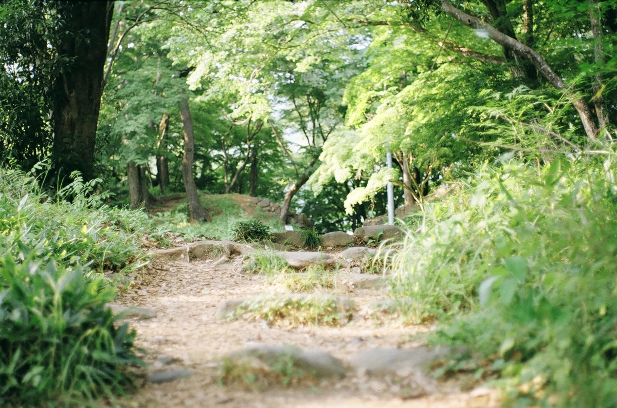 f:id:Nikon_alice:20210625232627j:plain