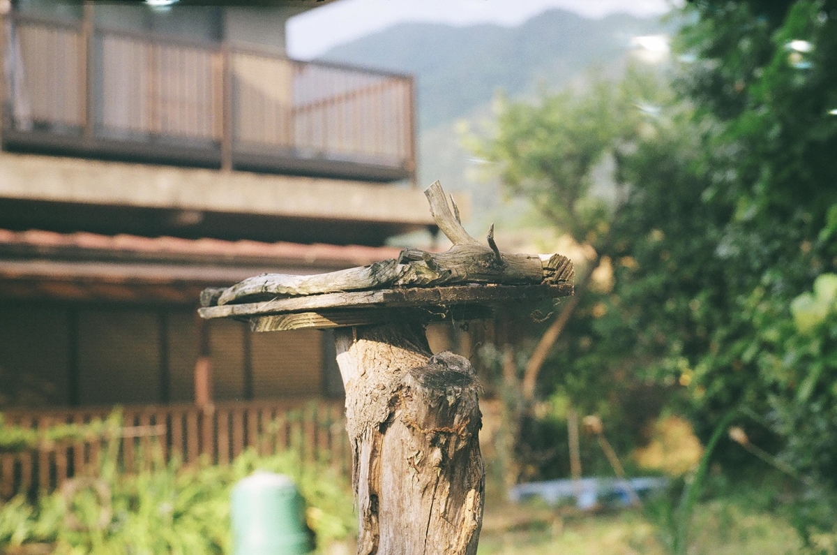 f:id:Nikon_alice:20210625232634j:plain