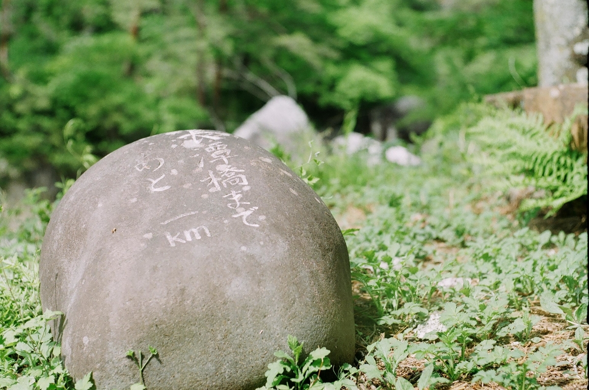 f:id:Nikon_alice:20210626142042j:plain