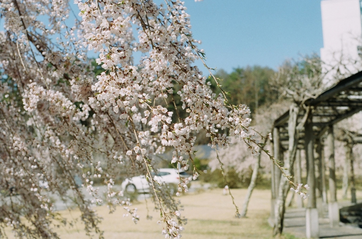 f:id:Nikon_alice:20210626142116j:plain