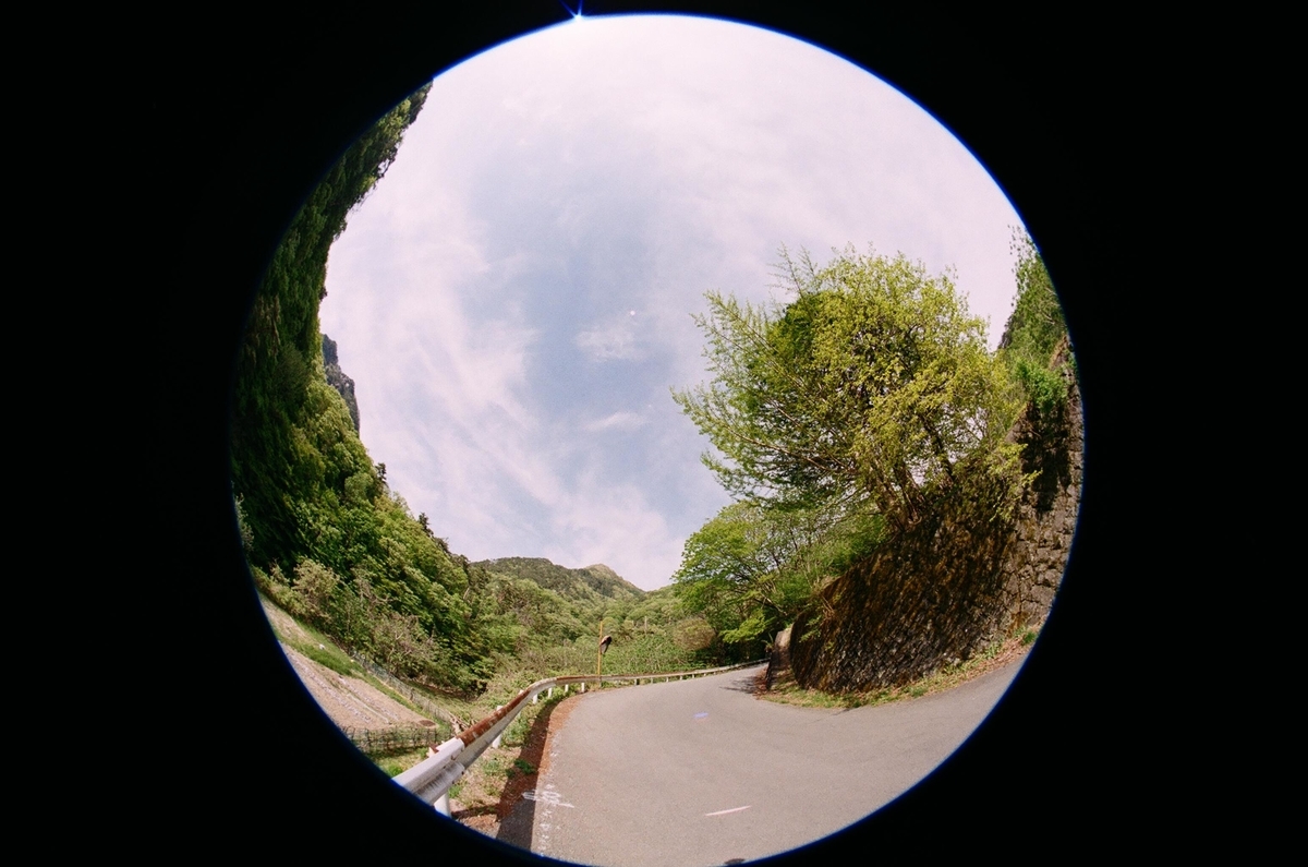 f:id:Nikon_alice:20210626142146j:plain