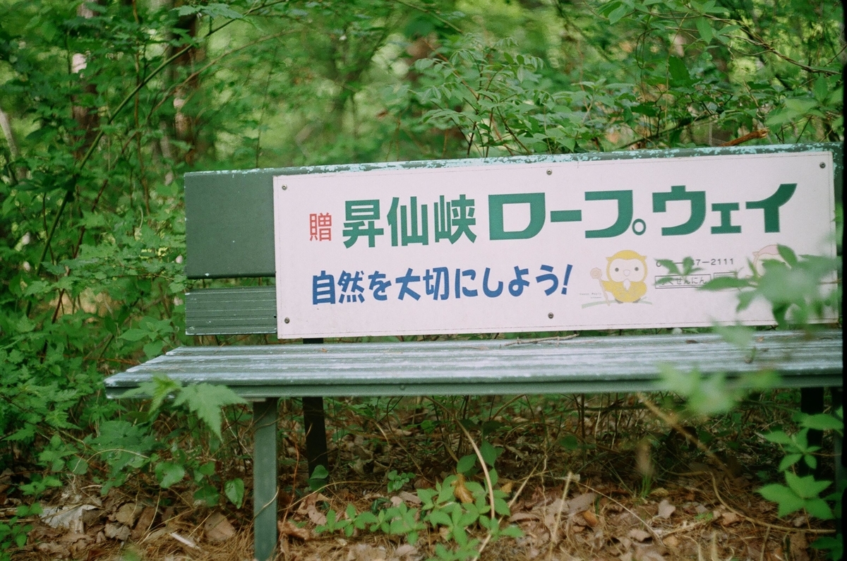 f:id:Nikon_alice:20210626142153j:plain