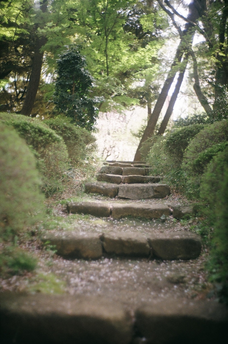 f:id:Nikon_alice:20210629202845j:plain
