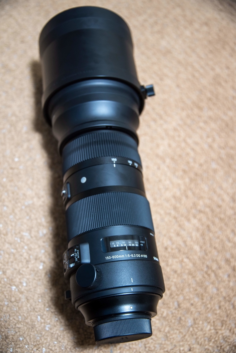 SIGMA 150-600mm F5-6.3 DG OS HSM買ったので紹介 - 多趣味人ブログ