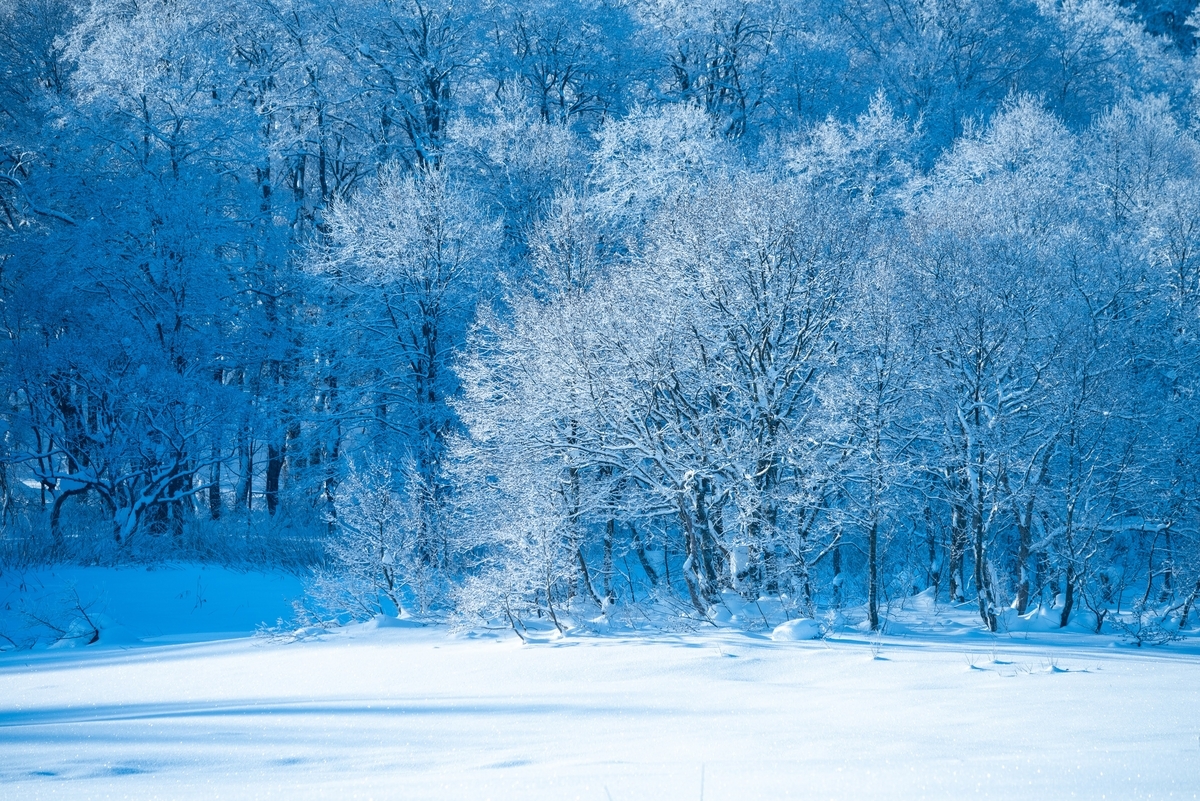 冬は雪景色を撮りたい。 - 多趣味人ブログ