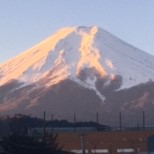 f:id:Ninbenchan:20220111113757j:plain
