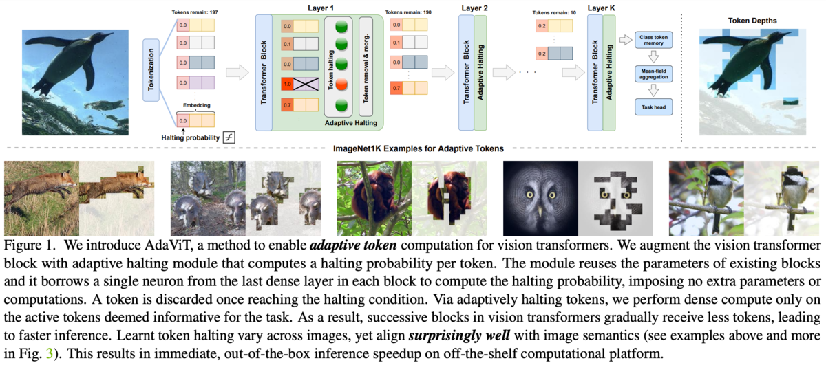 [論文メモ] AdaViT: Adaptive Tokens for Efficient Vision Transformer - にんひど ...